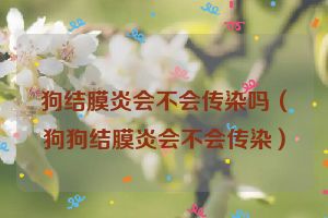 狗结膜炎会不会传染吗（狗狗结膜炎会不会传染）