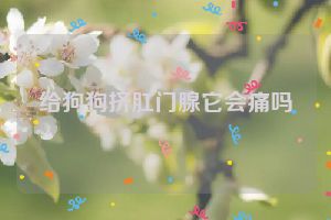 给狗狗挤肛门腺它会痛吗