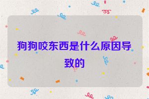 狗狗咬东西是什么原因导致的
