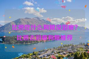 比熊吃什么狗粮没泪痕？比熊去泪痕狗粮推荐