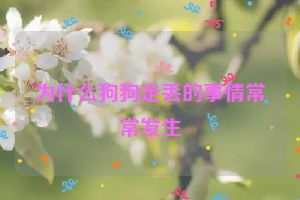 为什么狗狗走丢的事情常常发生