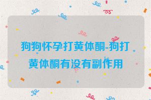 狗狗怀孕打黄体酮-狗打黄体酮有没有副作用