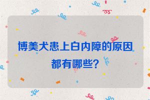 博美犬患上白内障的原因都有哪些？