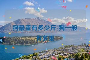 狗最重有多少斤-狗一般有多重