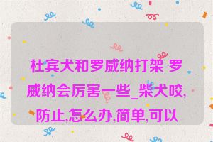 杜宾犬和罗威纳打架 罗威纳会厉害一些_柴犬咬,防止,怎么办,简单,可以