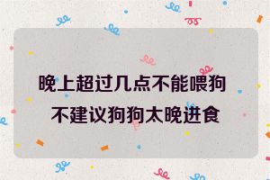 晚上超过几点不能喂狗 不建议狗狗太晚进食