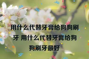 用什么代替牙膏给狗狗刷牙 用什么代替牙膏给狗狗刷牙最好