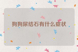 狗狗尿结石有什么症状