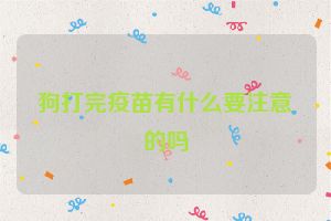 狗打完疫苗有什么要注意的吗