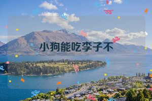 小狗能吃李子不