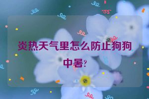 炎热天气里怎么防止狗狗中暑?