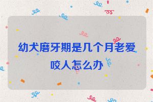 幼犬磨牙期是几个月老爱咬人怎么办