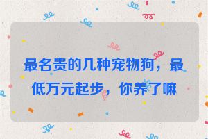 最名贵的几种宠物狗，最低万元起步，你养了嘛