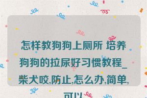 怎样教狗狗上厕所 培养狗狗的拉尿好习惯教程_柴犬咬,防止,怎么办,简单,可以