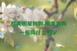 欧美明星狗狗-欧美狗狗一般叫什么名字