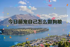 今日萌宠自己怎么做狗粮