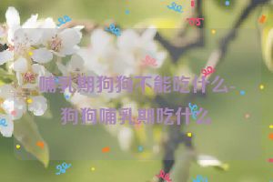 哺乳期狗狗不能吃什么-狗狗哺乳期吃什么