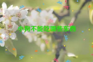 小狗不能吃哪些东西