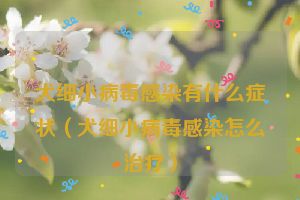 犬细小病毒感染有什么症状（犬细小病毒感染怎么治疗）