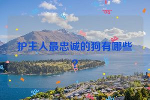 护主人最忠诚的狗有哪些？