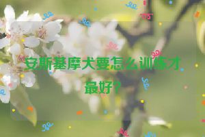 安斯基摩犬要怎么训练才最好？