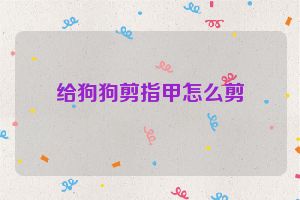 给狗狗剪指甲怎么剪