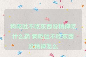 狗呕吐不吃东西没精神吃什么药 狗呕吐不吃东西没精神怎么