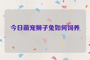 今日萌宠狮子兔如何饲养