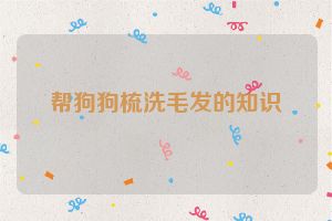 帮狗狗梳洗毛发的知识