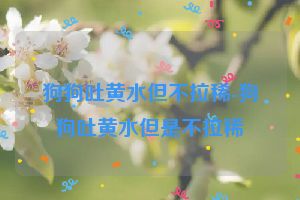 狗狗吐黄水但不拉稀-狗狗吐黄水但是不拉稀