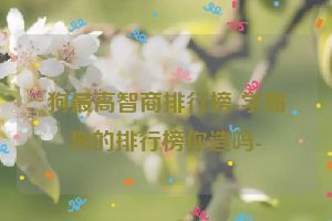 狗最高智商排行榜-学霸狗的排行榜你造吗-