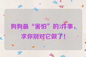 狗狗最“害怕”的5件事，求你别对它做了！