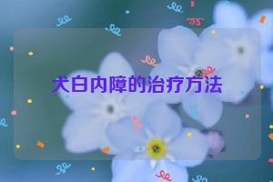 犬白内障的治疗方法