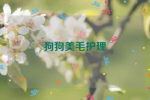 狗狗美毛护理