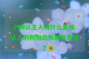 小狗认主人有什么表现-认主的狗狗会有哪些表现？