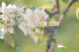 狗可以吃黄瓜吗