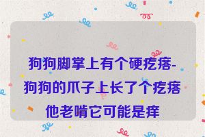 狗狗脚掌上有个硬疙瘩-狗狗的爪子上长了个疙瘩他老啃它可能是痒