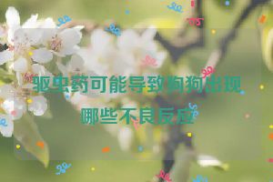 驱虫药可能导致狗狗出现哪些不良反应