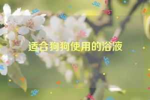 适合狗狗使用的浴液