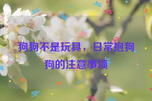 狗狗不是玩具，日常抱狗狗的注意事项