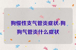 狗慢性支气管炎症状-狗狗气管炎什么症状