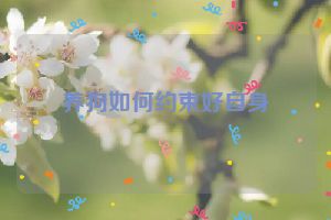 养狗如何约束好自身