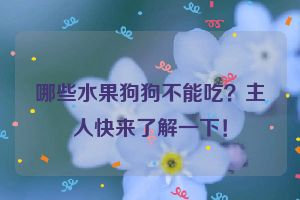 哪些水果狗狗不能吃？主人快来了解一下！