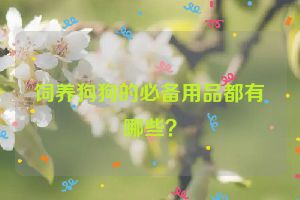 饲养狗狗的必备用品都有哪些？