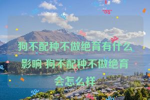 狗不配种不做绝育有什么影响 狗不配种不做绝育会怎么样