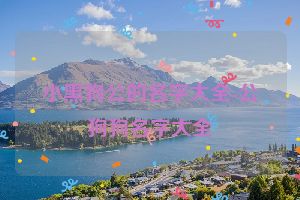 小黑狗公的名字大全-公狗狗名字大全