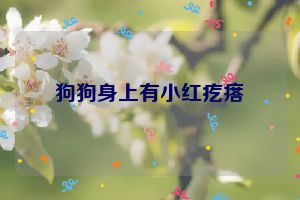 狗狗身上有小红疙瘩