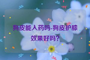 狗皮能入药吗-狗皮护膝效果好吗？