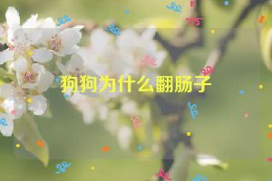 狗狗为什么翻肠子