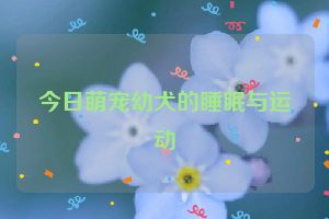 今日萌宠幼犬的睡眠与运动